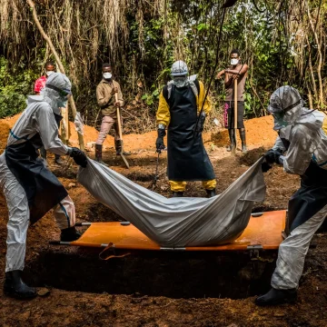 La OMS declara emergencia internacional por brote de ébola en África Central