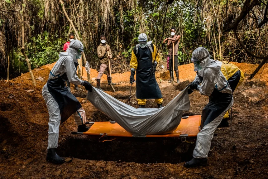 La OMS declara emergencia internacional por brote de ébola en África Central