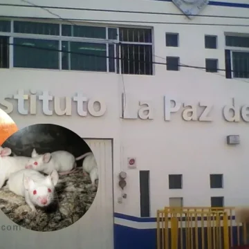Crueldad animal en escuela de Puebla; Fiscalía General del Estado ya investiga