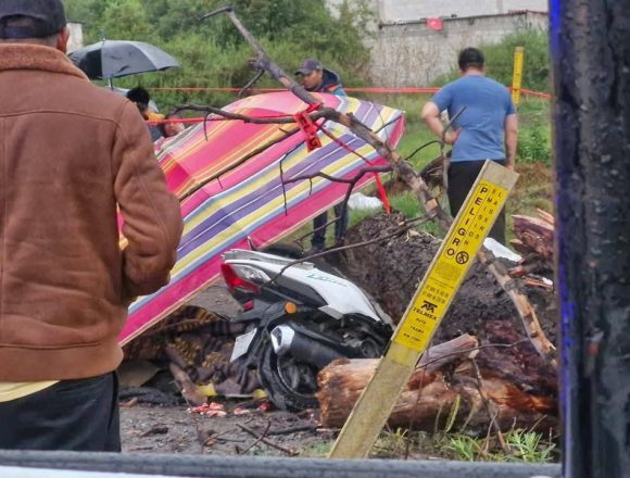 HI2TbLIXUAEQmec Tragedia en San Martín Texmelucan: Un menor pierde la vida tras caerle un árbol encima mientras viajaba en moto