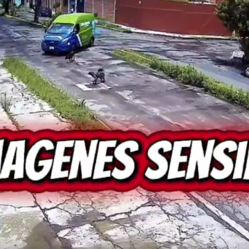 Repartidor de agua Junghanns atropella a un perro en Puebla; exigen respuesta de la empresa