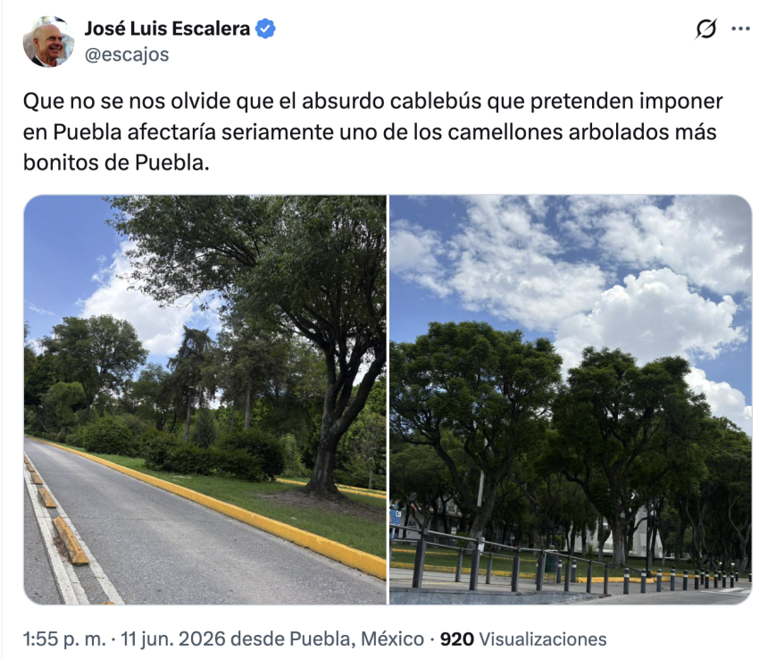 Captura-de-pantalla-2026-06-11-a-las-5.42.27-p.m El Cablebús de Puebla no contempla la tala masiva del camellón del Bulevar 5 de Mayo