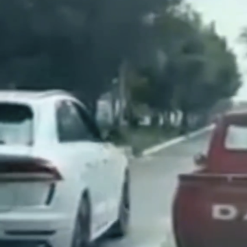 Indignación por agresión vial cerca de Costco Puebla; perro salta de camioneta tras entrar en pánico