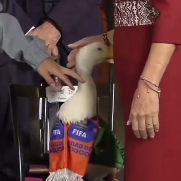 Captura-de-pantalla-2026-06-22-a-las-9.56.22-a.m Video del Pato Merlín atacando a la presidenta Sheinbaum se vuelve viral en redes sociales