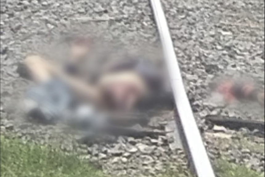 Captura-de-pantalla-2026-06-23-a-las-12.27.38-p.m Tragedia en Bosques de Amalucan: persona muere arrollada por el tren; cuerpo quedó severamente mutilado