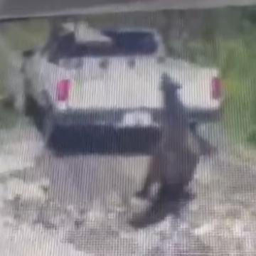 Sujeto arrastra a caballo con camioneta en Texmelucan; video genera indignación