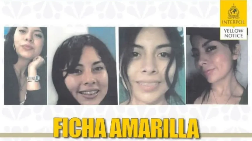 Activan ficha amarilla de Interpol para buscar a Karla Alejandra, desaparecida hace casi dos años en Puebla