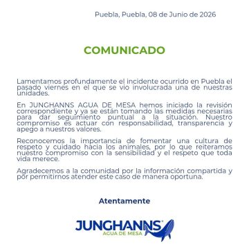 HKZzIRsWIAEC-Sc Junghanns reconoce atropello de perro en Puebla pero no aclara sanciones al conductor