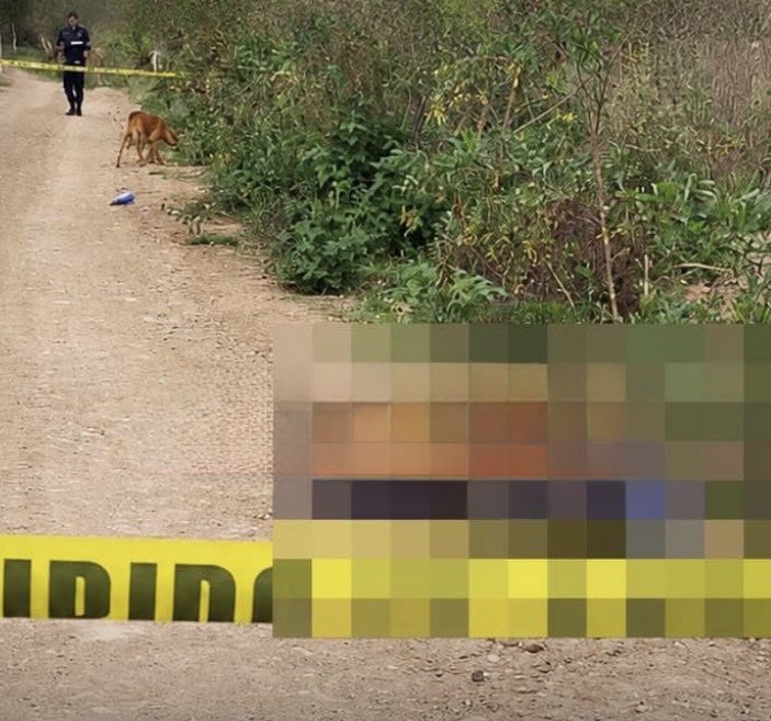 HKtKZ7oXUAAFs_g Presunto enfrentamiento y aseguramiento de narcolaboratorio en la Sierra Norte de Puebla