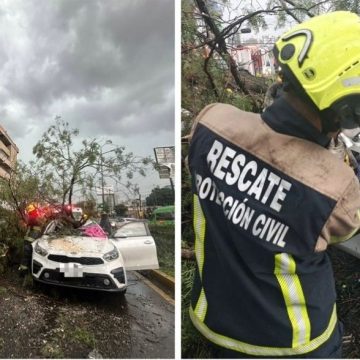 HL8c7kkXsAAQvsp Identifican a mujer que murió aplastada por un árbol durante tormenta en Puebla