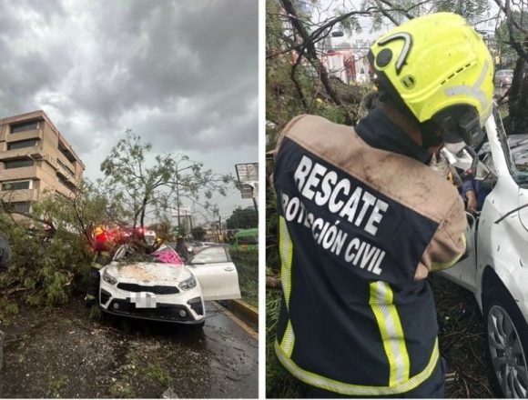 Identifican a mujer que murió aplastada por un árbol durante tormenta en Puebla