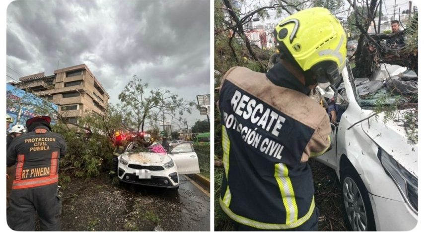 Identifican a mujer que murió aplastada por un árbol durante tormenta en Puebla