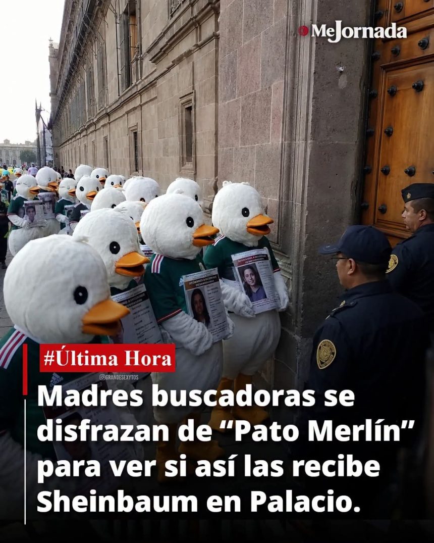HLbvXi0WcAArolZ FALSO: Madres buscadoras no se disfrazaron del “Pato Merlín” para ser recibidas en Palacio Nacional