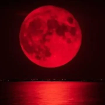 descarga-14 El eclipse solar total más largo del siglo XXI no será visible en México