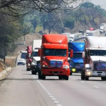 descarga Paro nacional de transportistas el 24 de junio afectará movilidad en carreteras y CDMX