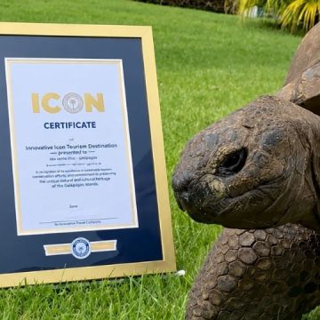 f960x540-71900_145975_5050 Jonathan, la tortuga terrestre más longeva del mundo, cumple 194 años