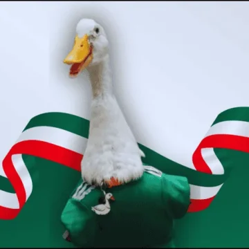 web_canva_-17-_version1781978037916.png_1389647151 FIFA nombra a Merlín, el pato viral, embajador oficial de la Ciudad de México en el Mundial 2026