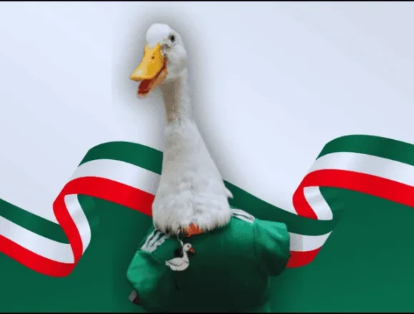 FIFA nombra a Merlín, el pato viral, embajador oficial de la Ciudad de México en el Mundial 2026