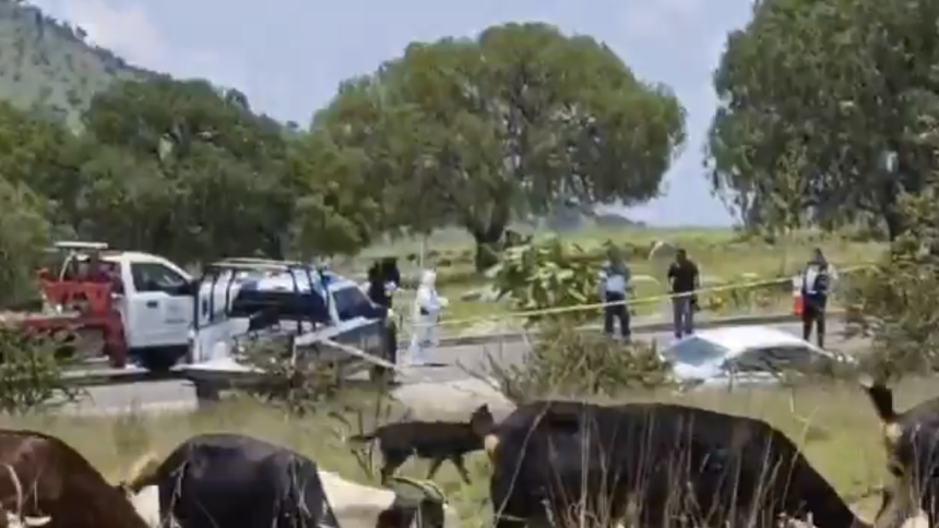 Captura-de-pantalla-2026-07-10-a-las-1.28.18-p.m Hallan vehículo con personas sin vida rumbo a la Academia de Policía; Fiscalía investiga