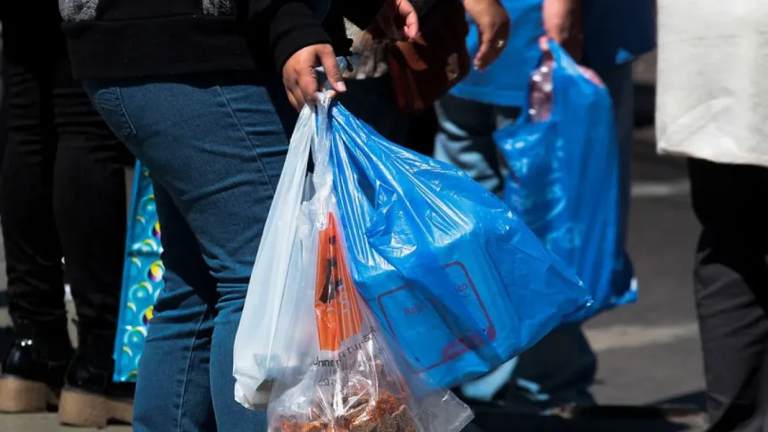Ayuntamiento de Puebla reactivará multas de hasta dos millones de pesos por uso de bolsas de plástico en comercios