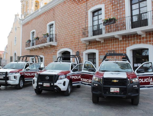 Envenenan a seis perros en Atlixco; Fiscalía investiga el caso