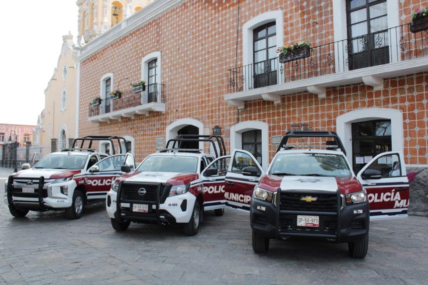 Envenenan a seis perros en Atlixco; Fiscalía investiga el caso